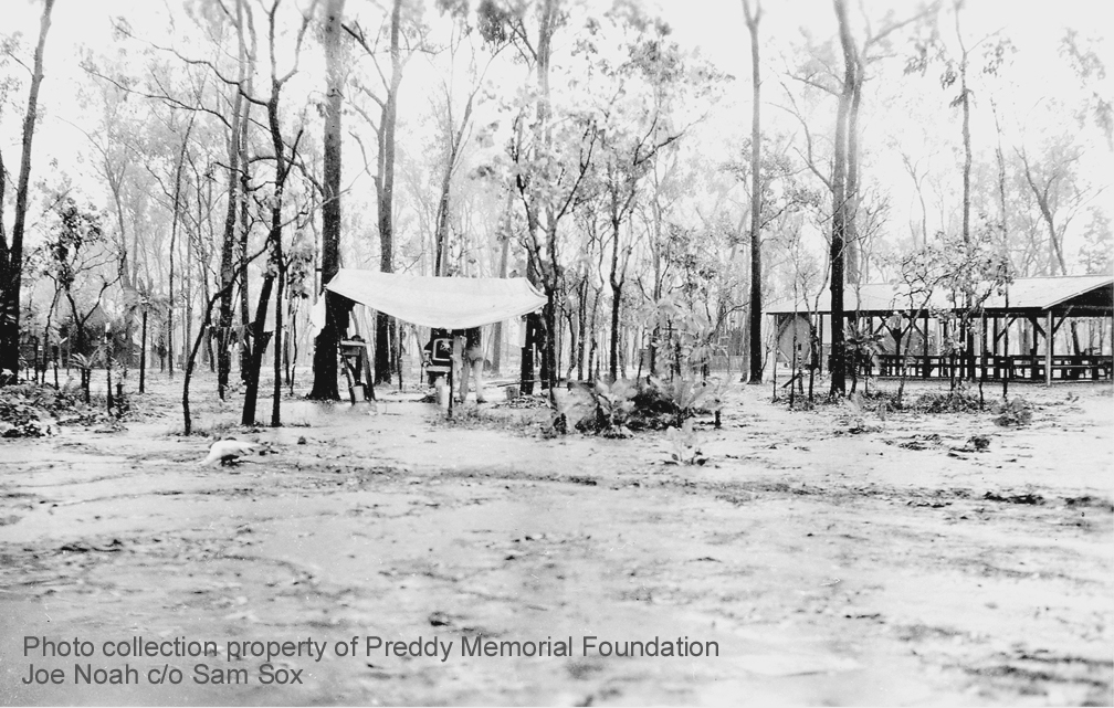 Preddy Memorial Foundation Photo