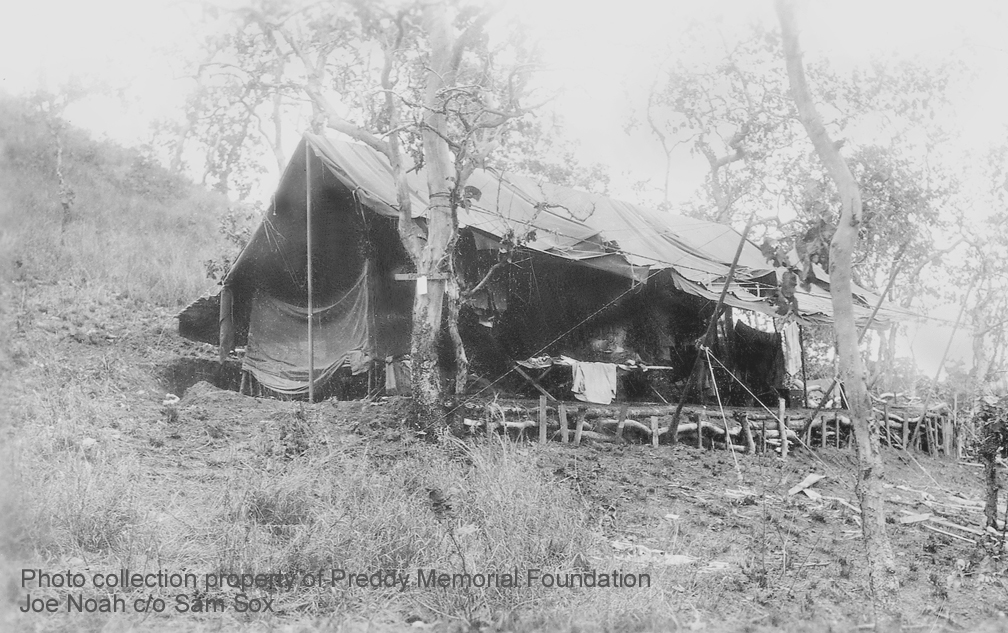 Preddy Memorial Foundation Photo