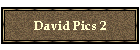 David Pics 2