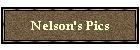 Nelson's Pics