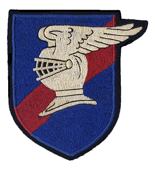 9FS WWII insignia patch