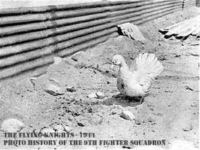 Beloved 9FS mascot, Huckleberry Duck