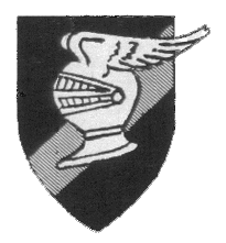 9FS newsletter insignia
