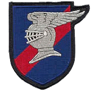 9FS WWII Heritage patch - Flying Knights (bar sinister!)