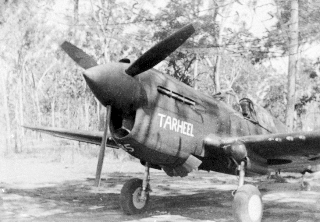 George Preddy's P-40 #85 Tarheel - Sam Sox