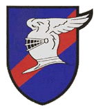 Refined 9FS insignia