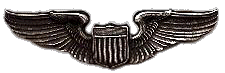 US AAC Silver Wings